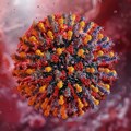 U Austriji otkriven novi virus: Evo kako se prenosi