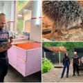 (Foto) Farma koja je počela iz ljubavi: U dvorištu kraj Subotice žive nojevi, emui i pauni