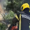 (Video) Jako nevreme čupalo žice i lomilo drveće! Oštećena vozila, ulice poplavljene! Alarmantno stanje u Novom Sadu: Policija…