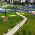 Raspisan poziv za ozelenjavanje gradova i opština vredan 92,41 miliona dinara