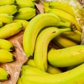 Ljudi u Ekvadoru sve više umiru od banana: Evo kakve veze s tim imaju karteli