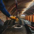 Vina iz Srbije sve cenjenija u svetu, a površine pod vinogradima najmanje u 100 godina - šta je rešenje?