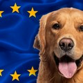 Za kućne ljubimce iz Srbije više neće biti potreban test na besnilo pri ulasku u EU: Procedura sada jeftinija i jednostavnija…
