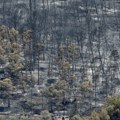 Francuska u plamenu: Rekordna suša i podmetnuti požari pustoše zemlju, igorelo 40.000 hektara šume
