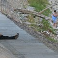 Pred nama pet dana velikih vrućina, temperatura do 42 stepena