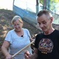 Topalovići napustili Nemačku i vratili se na selo, pa razvili biznis od kog masno zarađuju: zbog ovoga im svi skidaju kapu
