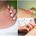 Nema obolelih od groznice Zapadnog Nila, u ponedeljak počinje suzbijanja komaraca