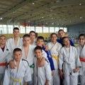 Sedam medalja za pirotske džudiste na međunarodnom turniru “Struga open”