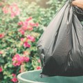Ovako se voli svoj grad: Kragujevčani čistili Šumarice i skupili više od 200 džakova smeća