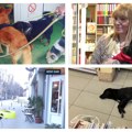 U Novom Sadu postoji knjižara sa dušom koja otvara vrata psima i macama sa ulice