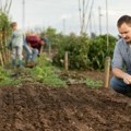 Ne pravite ovu grešku Ako u septembru preskočite ova tri posla, bašta će vam potpuno propasti