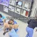 Čule su da je napolju opasan pitbul i odmah su izletele: Nastao haos u veterinarskoj stanici, a onda šok!