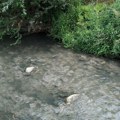 Pokret juga Srbije traži da se javno objave posledice izlivanja jalovine u Jablanicu po zdravlje ljudi