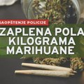 Policija zaplenila više od pola kilograma marihuane i tragove kokaina – uhapšen osumnjičen za trgovinu drogom! Saopštenje PU…
