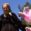 Lale za dugovečnost – baka Lucija ni u 96. godini ne odustaje od potrage za novim nijansama cveta