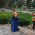Kontrola stabala rezistografom, orezivanje drvoreda i uređenje zelenih površina