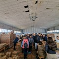 Pakuju se 28.250 humanitarnih paketa sa hranom za najsiromašnije Leskovčane i penzionere
