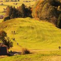 Šok prizor na Gugl Mapama: Jeziv stvor sa vijugavim rukama i nogama trči po polju, o čemu se radi?