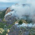 "Požar kod Pirota izazvaće ogromnu ekološku štetu!" Pomoćnik direktora JP "Srbijašume" iznela zabrinjavajuće posledice…