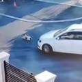 (Uznemirujući video) zbog snimka pregaženog psa i kamen bi zaplakao: Potresne scene iz Beograda: Belka jedva diše na…