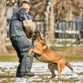 U funkciji zaštite vojne imovine: Obuka vodiča i službenih pasa u Nišu (foto)