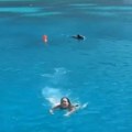 Strah i haos na plaži Divlja zver upala među kupače – ljudi bežali, deca vrištala, snimak ledi krv u žilama! (video)