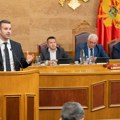 Crna Gora uvodi vize za državljane,Turske privedeno njih 45