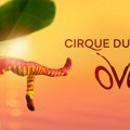 Svetska senzacija je gradu! Cirque du Soleil zvanično stigao u Beograd: Od 7. do 10. maja predstava “OVO” u Beogradskoj areni…