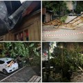 Svi u Srbiji u strahu od novih oluja, a oni se bogate na ljudskoj muci! Ženi u Palanci uzeo 120€ da iseče oboreno stablo