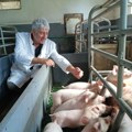 Veterinar Rajko Jeličić o svinjskoj kugi