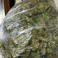 Uhapšen sa 18 kilograma marihuane