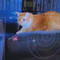Nauka i tehnologija: NASA emitovala video mačke iz dubokog svemira prenet laserom