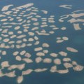 Šta se dešava sa 260 veštačkih ostrva arhipelaga ‘Svet’ u Dubaiju