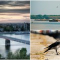 Preti opasnost po ribe, temperatura Vode raste Dunav i dalje ispod plovidbenog nivoa, po peti put ove godine! Evo šta kažu iz…