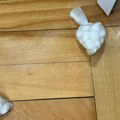 Pao diler u Nišu: Policija mu u stanu pronašla više vrsta droge