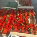 Proleće stiglo na čačansku pijacu: Jagode mame kupce, tezge pune svežine i boja