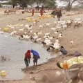 UN i Agenda 2030: Napredak ka održivom razvoju nije dovoljno brz, ni ravnomeran