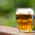 Belgija najveći izvoznik a Francuska najveći uvoznik piva