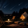 Sva mesta planula: ZOO Planet otvorio još jedan termin za „Noć zvezda padalica“