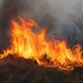 Od Hrvatske do Severne Makedonije: Region se bori sa požarima