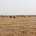 Fiskalni savet: Poljoprivreda Srbije 15 godina stagnira