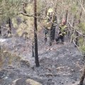 Ugašen požar u nacionalnom parku Tara: Uzrok spoj žica na banderi usled jakog vetra