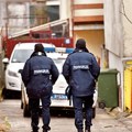 Užas na Zlatiboru: Muškarac mučki ubio konja: Udarao ga drvenim štapom, pa gađao kamenjem da ga otera sa svog imanja
