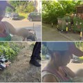 "Čula sam neki čudan zvuk, nije bio plač, dopirao je iz kese..." Maja iz Zemuna za Kurir: Mislila sam da je mače, otvorila sam…