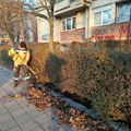 ЈКП Медиана: Уређење јавних површина