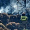 Šumski požar na Peloponezu, vatrogasci na terenu