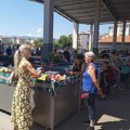 Još nema obilaznice, a a cena višnje je uništila proizvođače