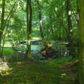 Krivična iz Bijelog Polja preti oštra kazna: Napravio veliku štetu, terere ga da je ovo uradio