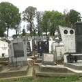 Grobovi: U cik-cak Strm teren, neredovno održavanje, nerešena imovinska pitanja, obilne padavine i Centralno groblje samo…