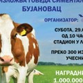 Nagradni fond milion dinara na izložbi simentalskih goveda u Levosoju,
